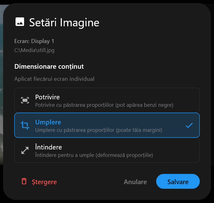 Dialogul Setări Imagine pentru o imagine, cu opțiunile Dimensionare conținut Potrivire, Umplere și Întindere, Umplere selectată, și butoanele Ștergere, Anulare și Salvare.